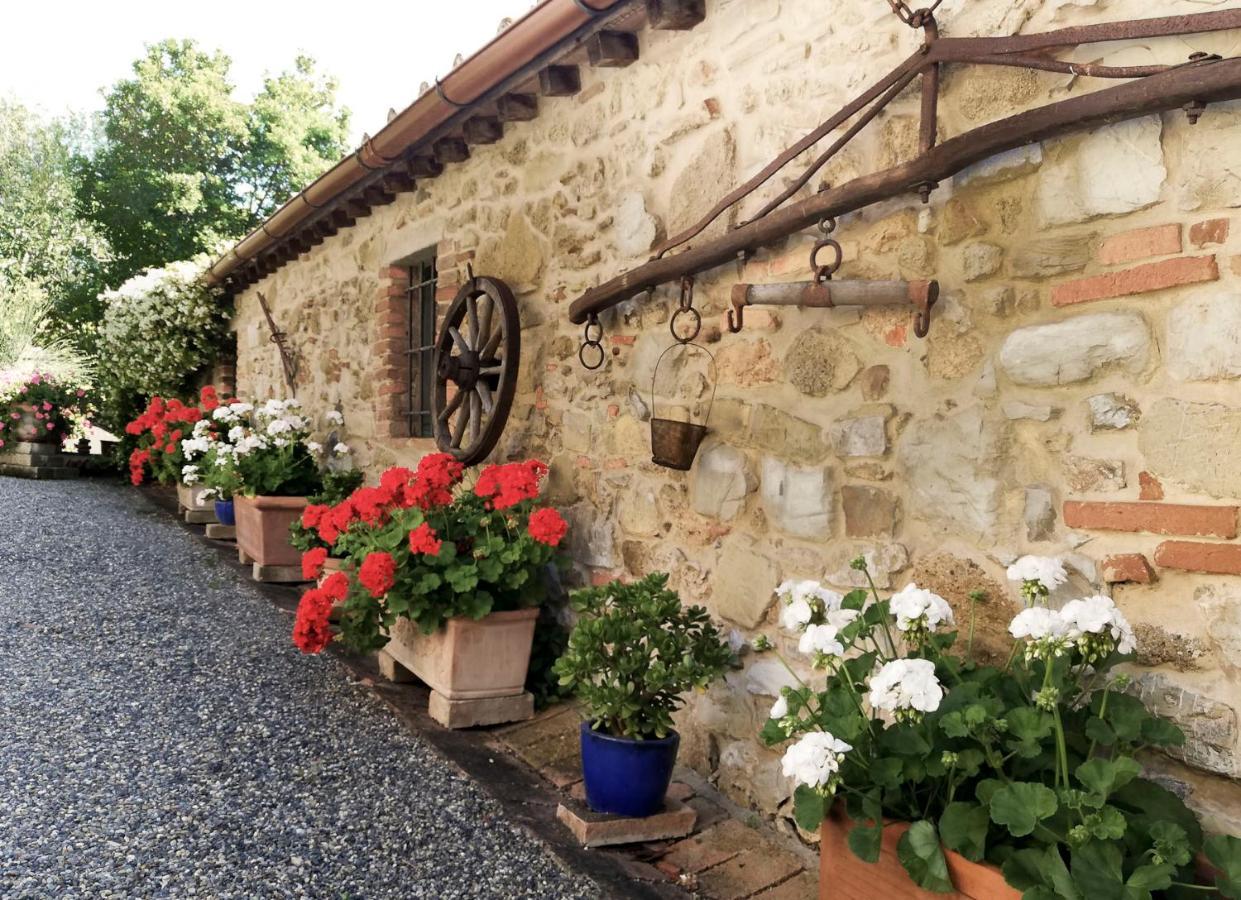 Апарт готель Agriturismo Terenzana Ріпарбелла Екстер'єр фото