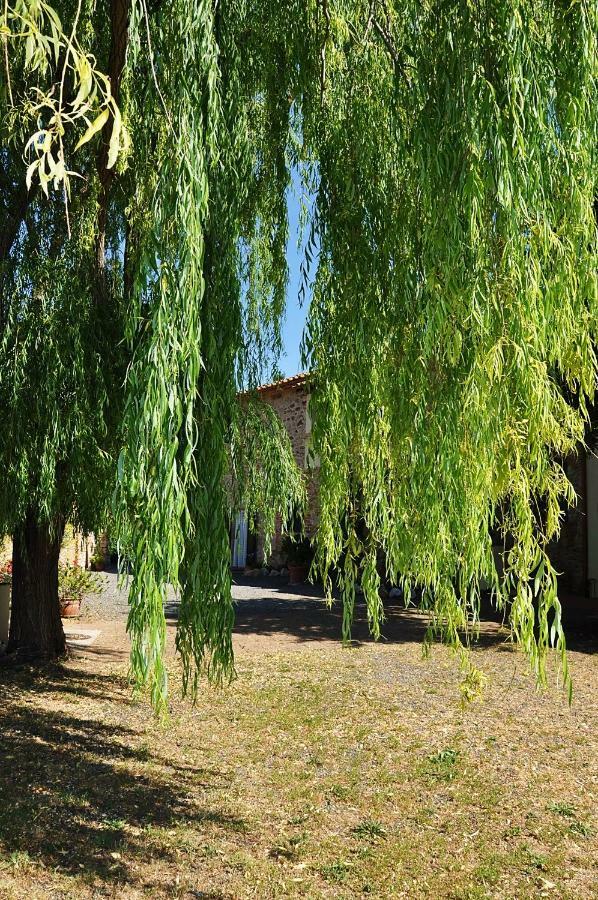 Апарт готель Agriturismo Terenzana Ріпарбелла Екстер'єр фото